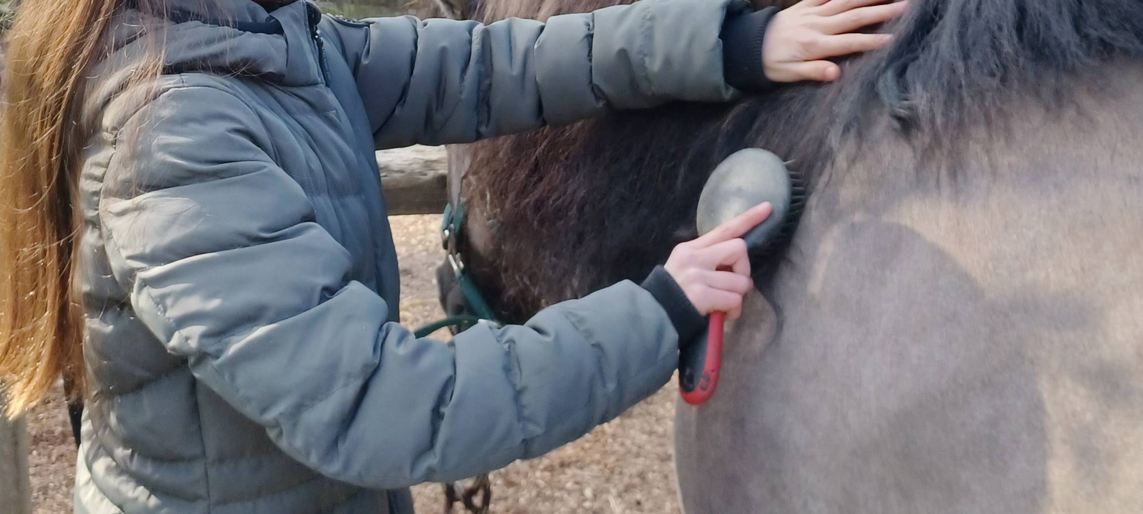 COESFELD: Spenden für Reittherapie