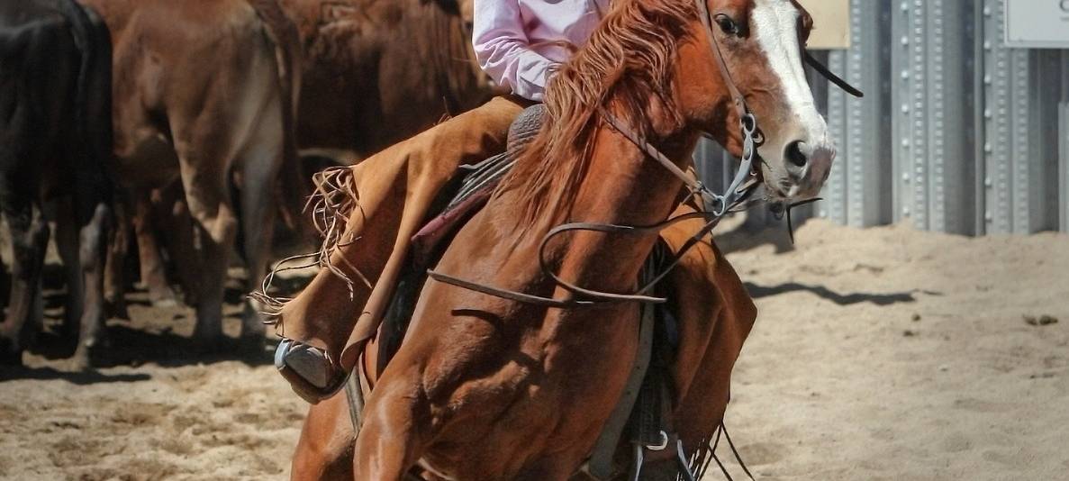 EM-Titel im Westernreiten