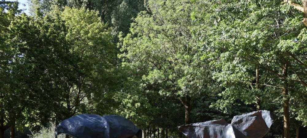 Wale tauchen in Coesfeld auf