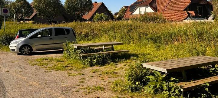 NOTTULN: Zugewucherte Sitzbänke