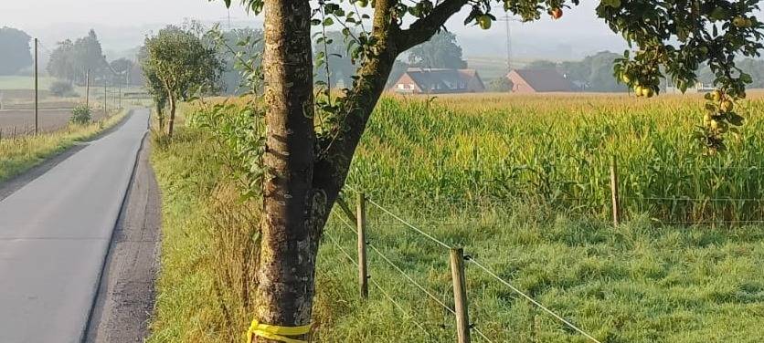 COESFELD: Aktion "Gelbes Band"