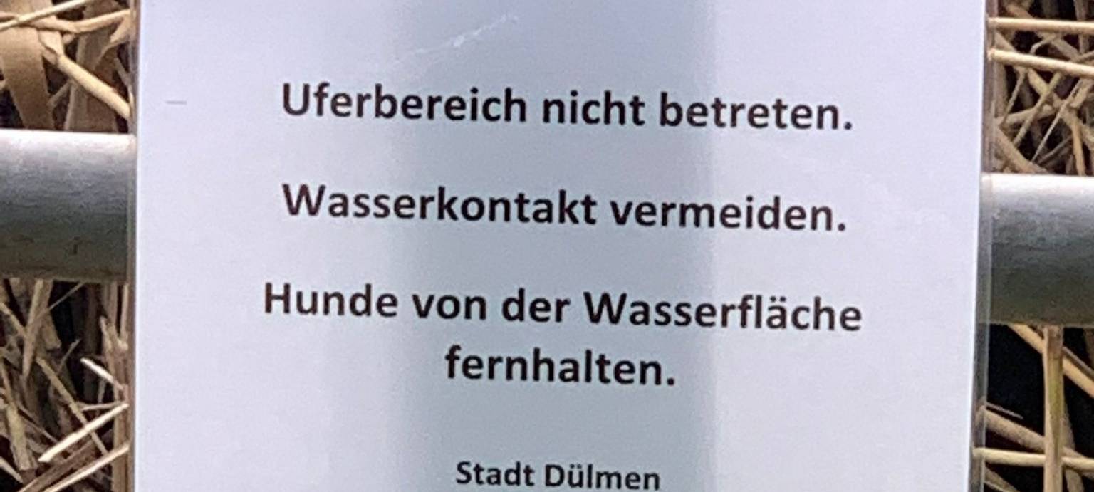 DÜLMEN: Ergebnisse Spiekerhof-Teiche