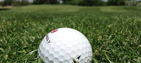 COESFELD: Benefiz-Turnier für Tierheim