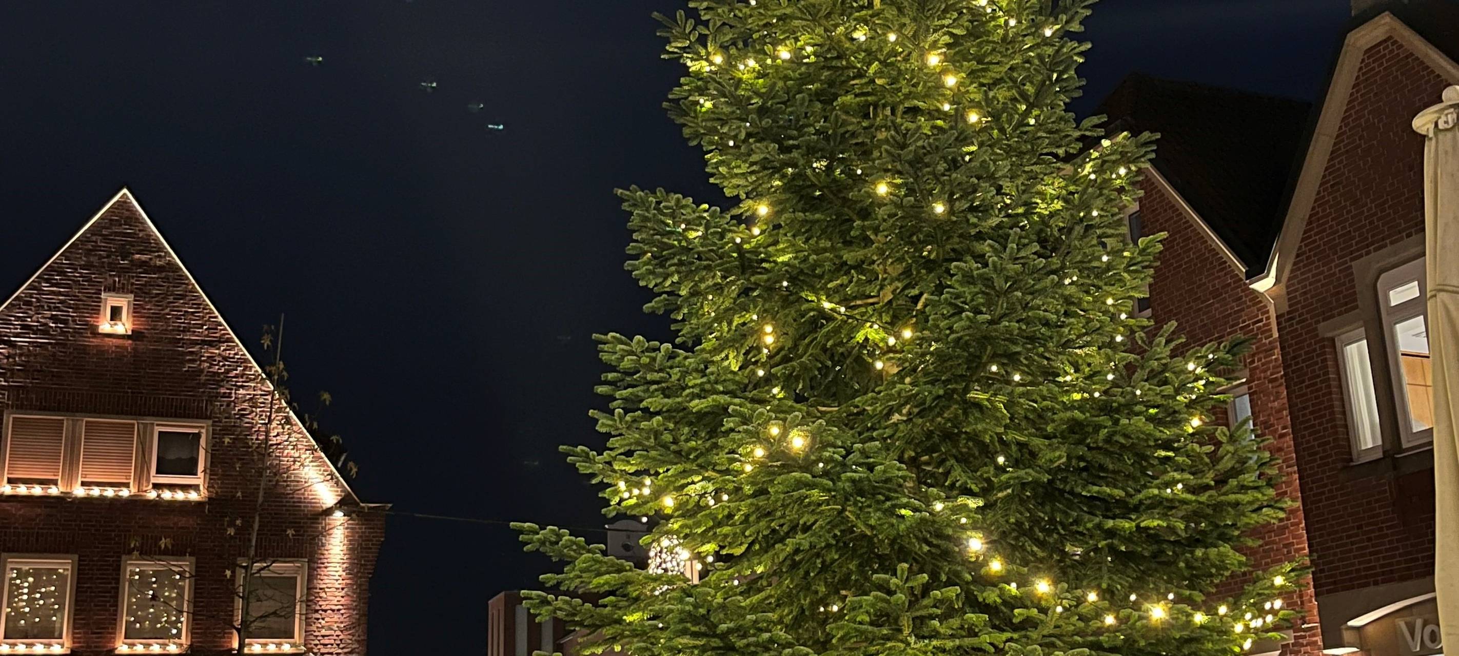 LÜDINGHAUSEN: Weihnachtsbaum gesucht
