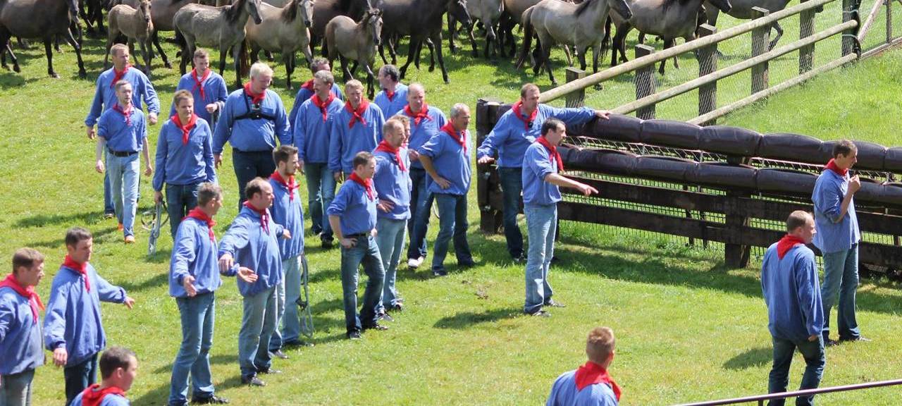 Tickets gewinnen: Wildpferdefang