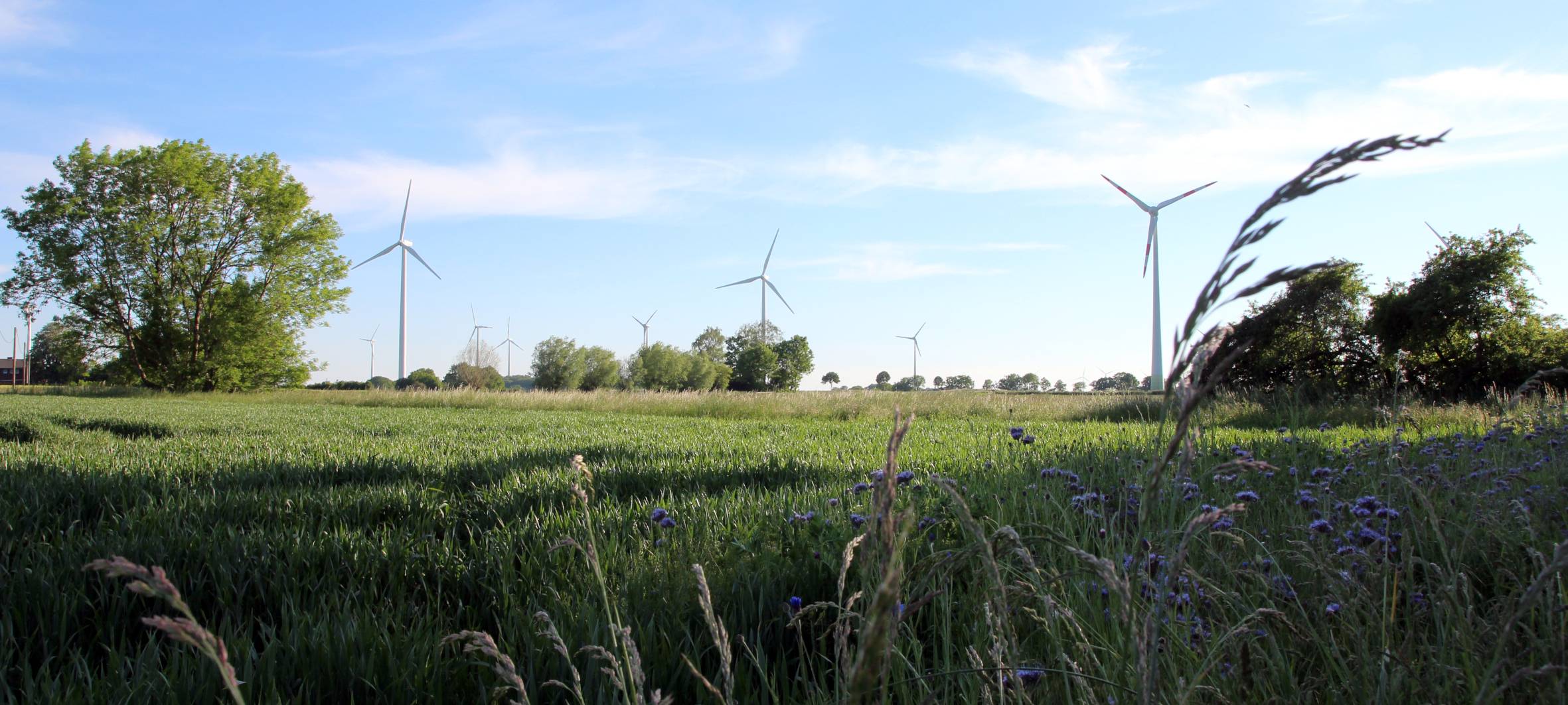 NOTTULN: Bürgerbeteiligung endet