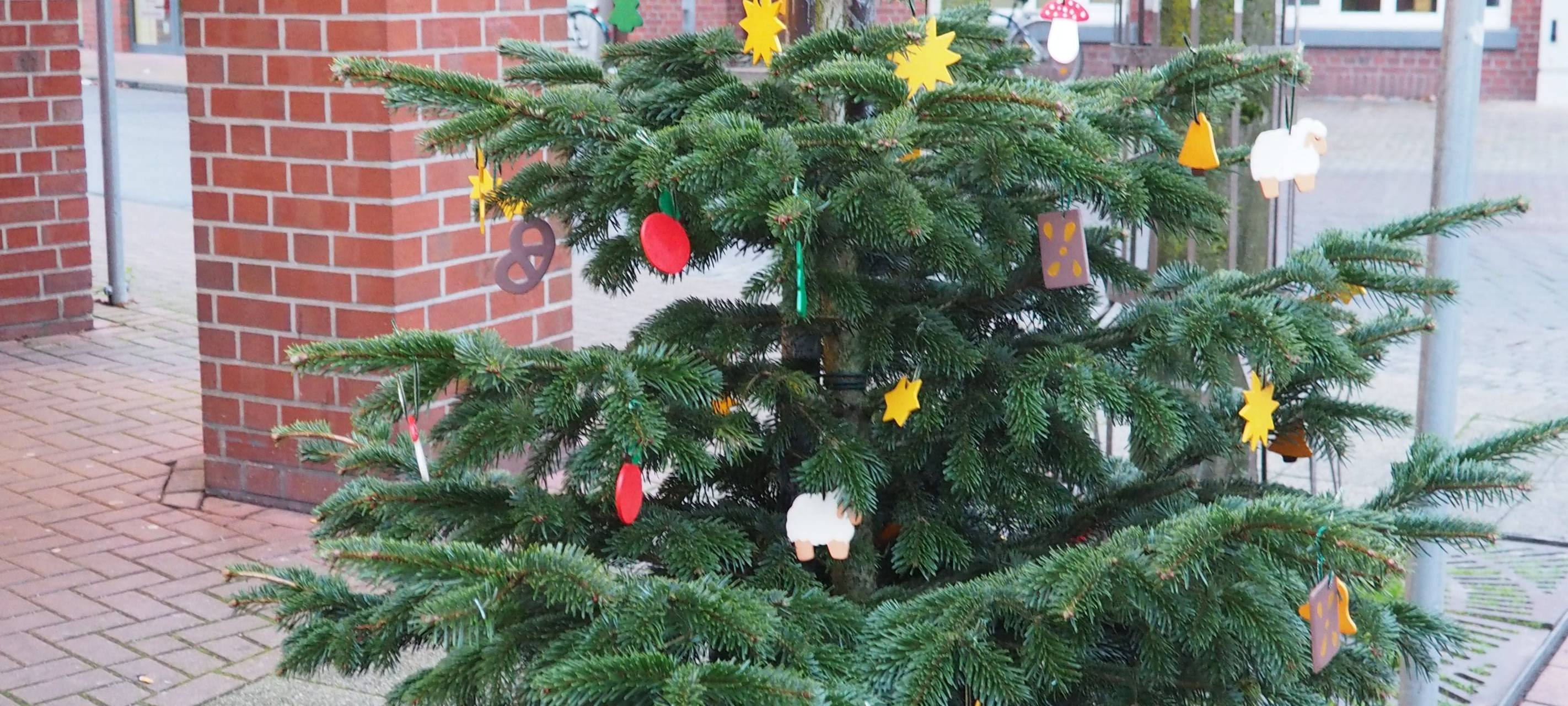 COESFELD: Weihnachtsbäume schmücken