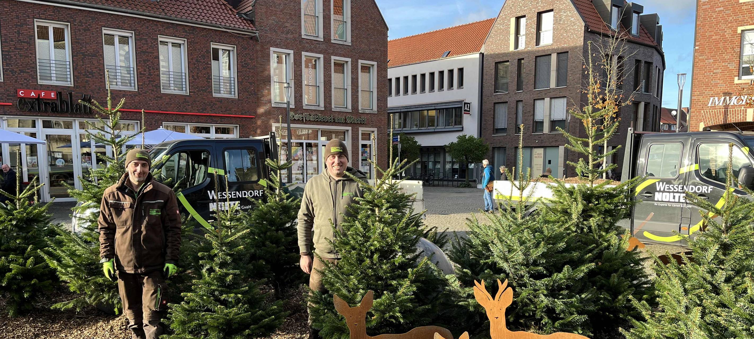 COESFELD: Weihnachtswald im Brunnen