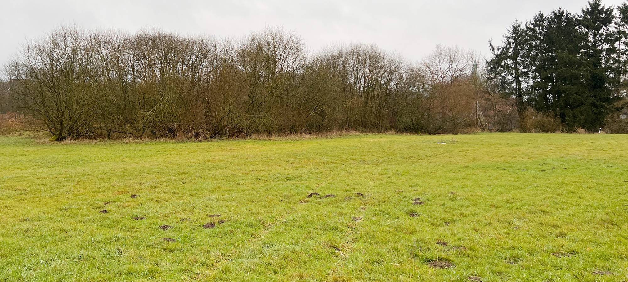 NOTTULN: Pflegearbeiten am Naturschutzgebiet