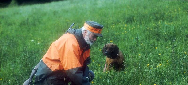 KREIS: Sorge vor der Afrikanischen Schweinepest