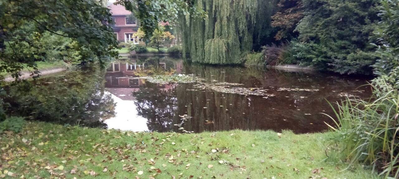 Skulpturen für Rhodepark kommen an