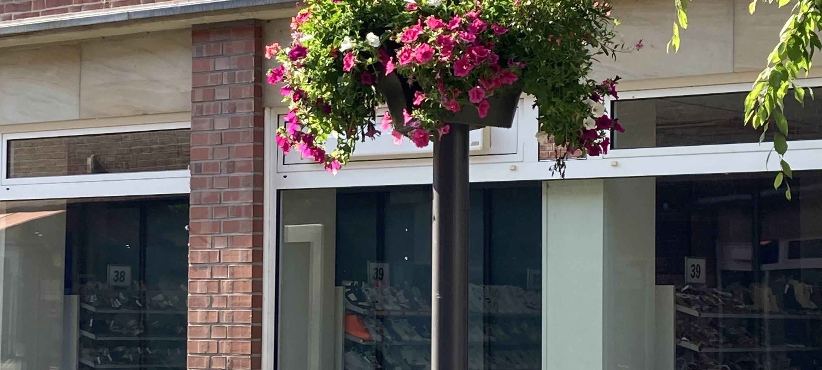 COESFELD: Spenden für Blumenampeln
