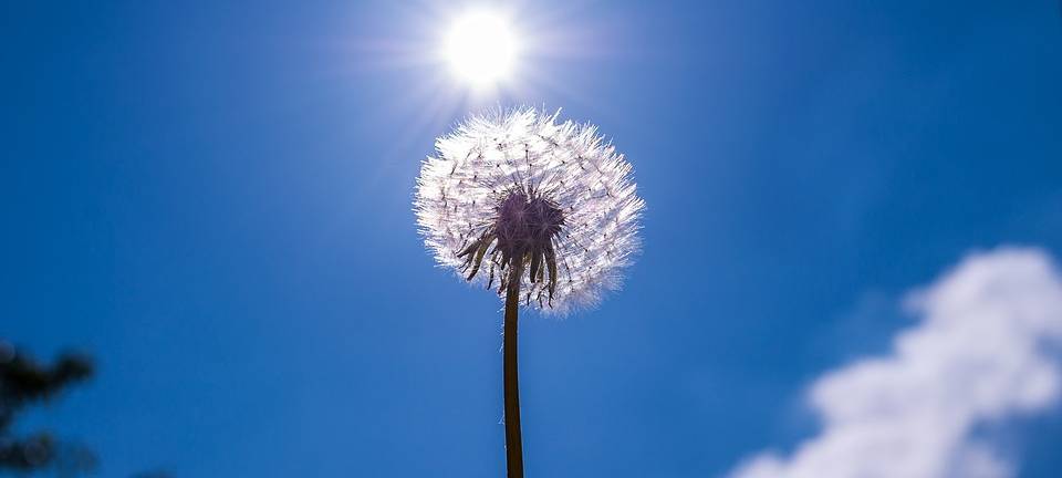 LÜDINGHAUSEN: Stellungnahmen zur Wärmeplanung