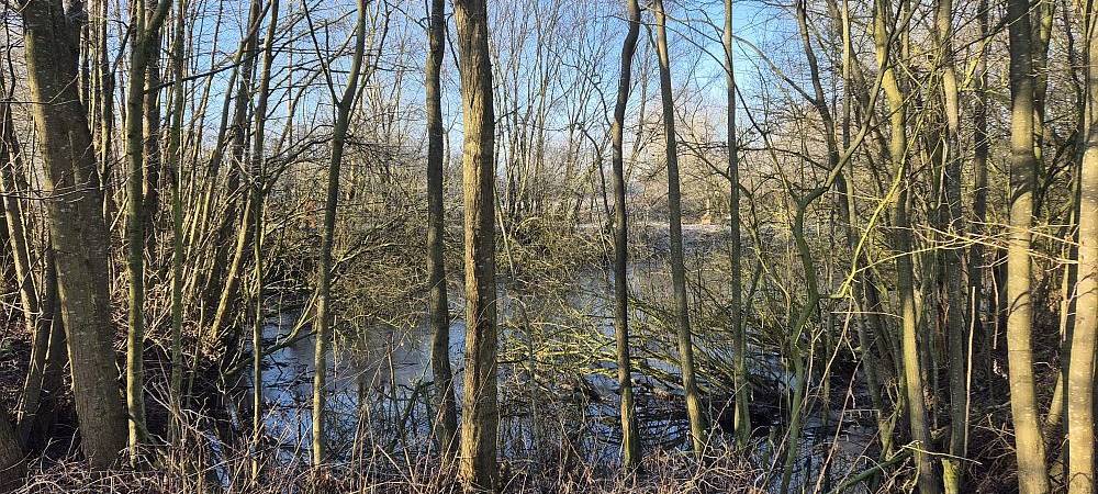 SENDEN: Arbeiten am Regenrückhaltebecken