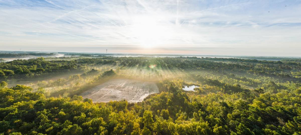 KREIS: Klimaanpassung