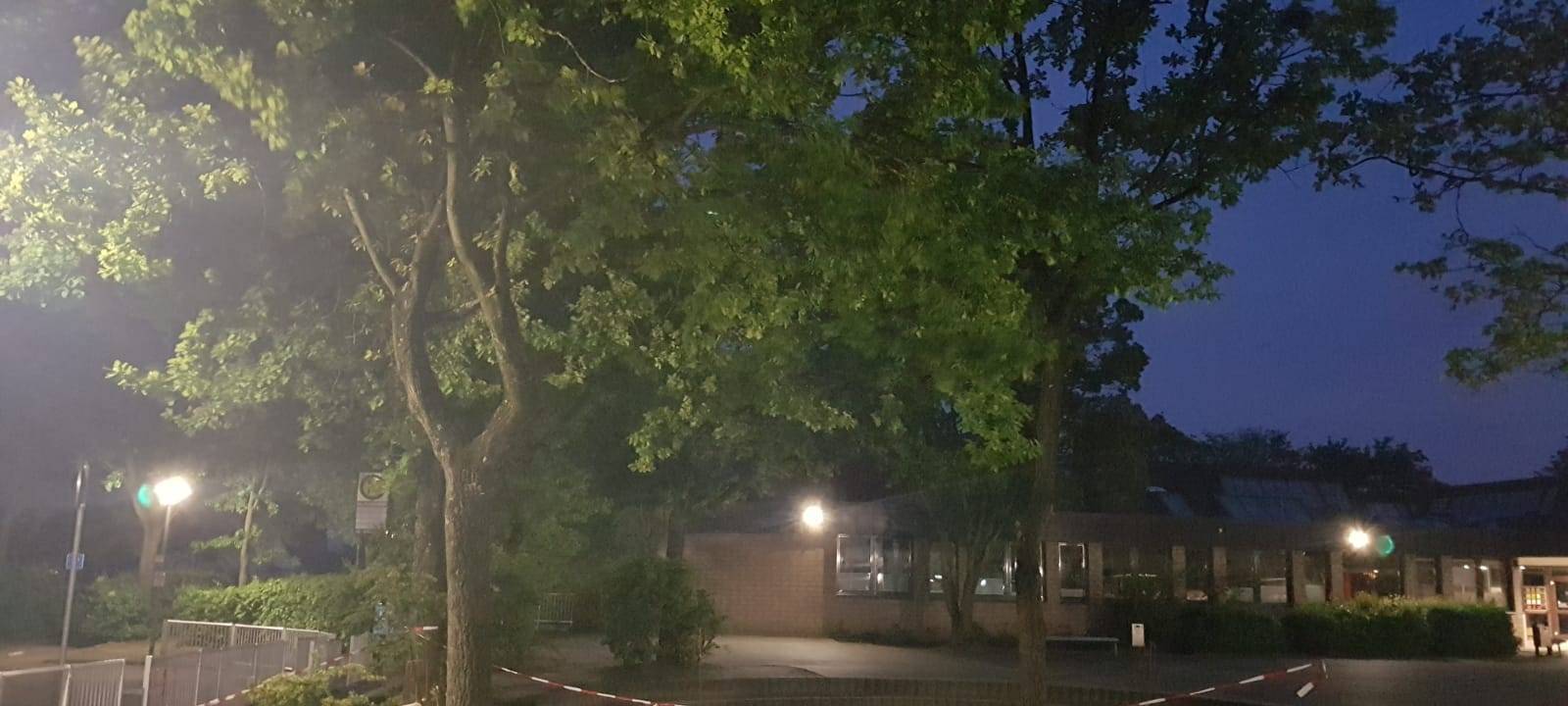 Eichenprozessionsspinner in Dülmen