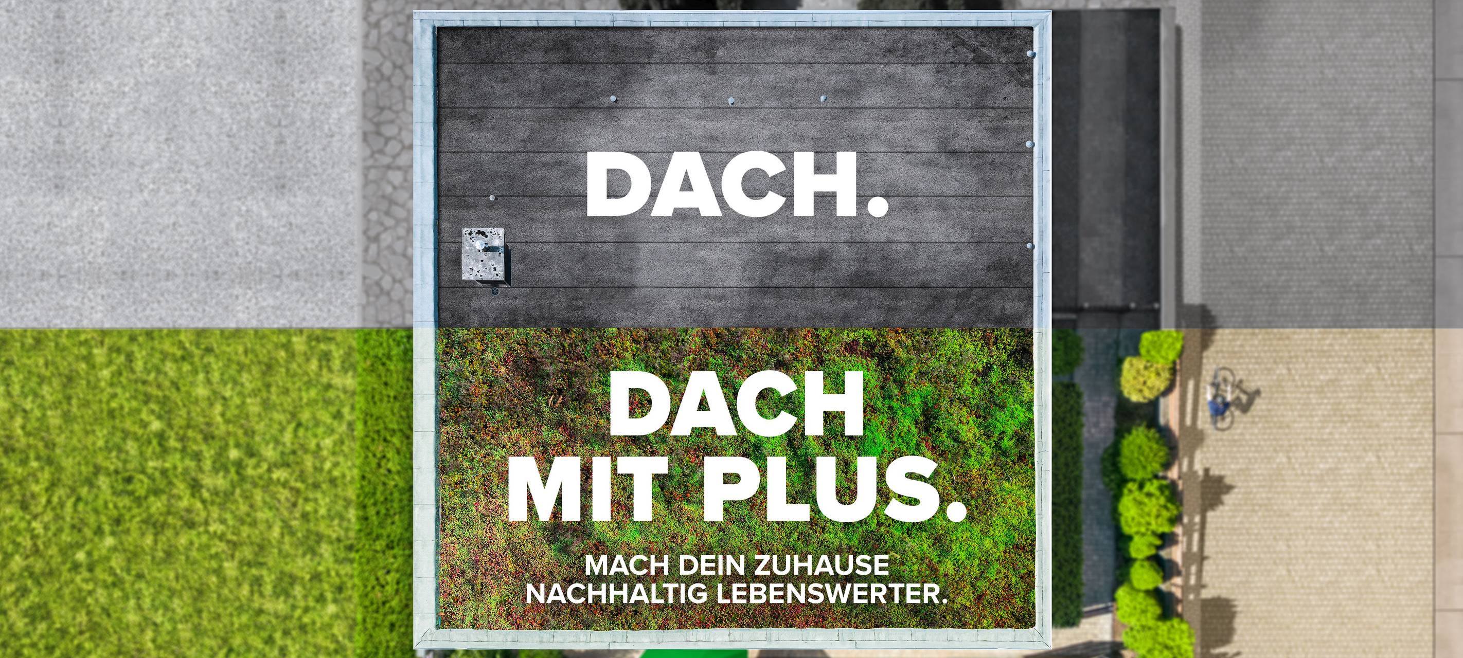 NOTTULN: Mehr grüne Dächer