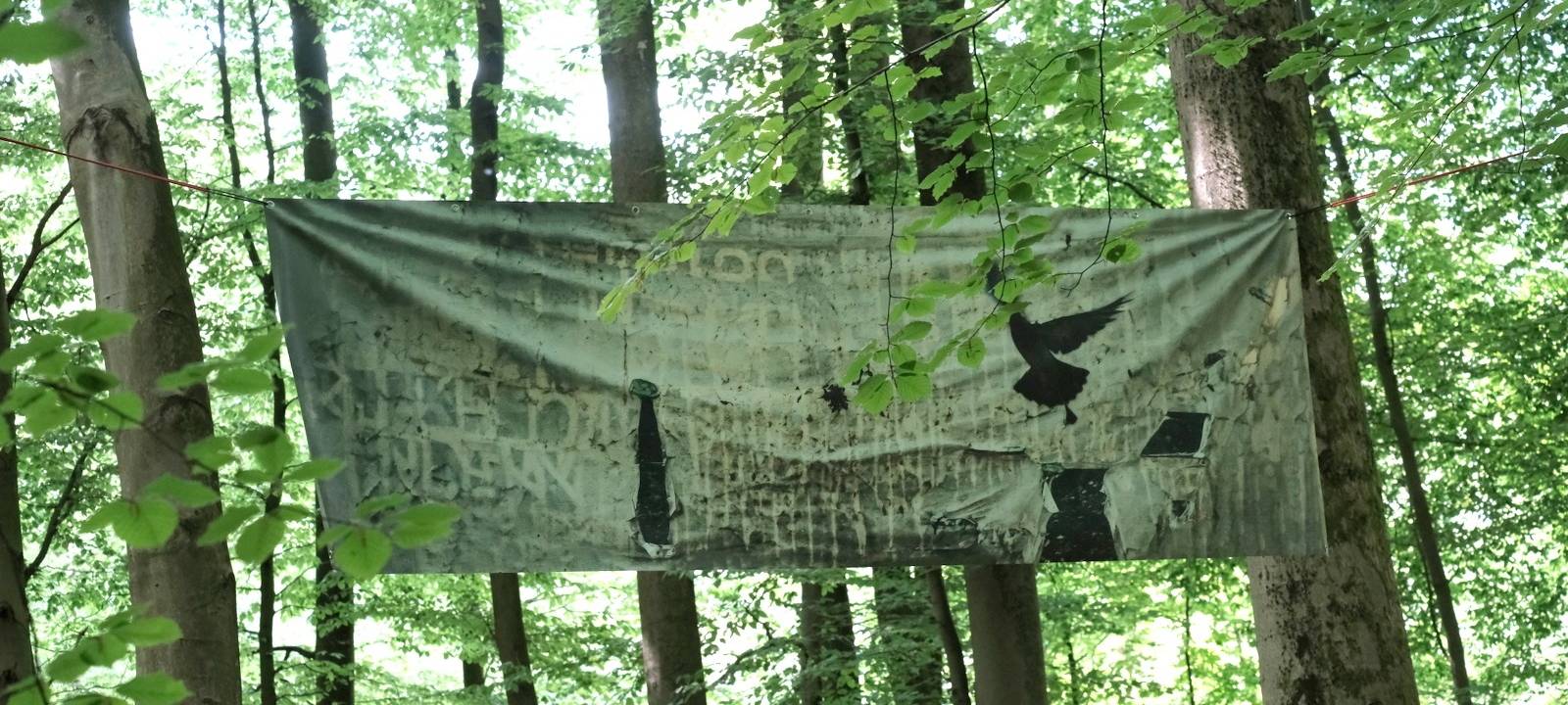 DÜLMEN: Kunst in Bombenkratern