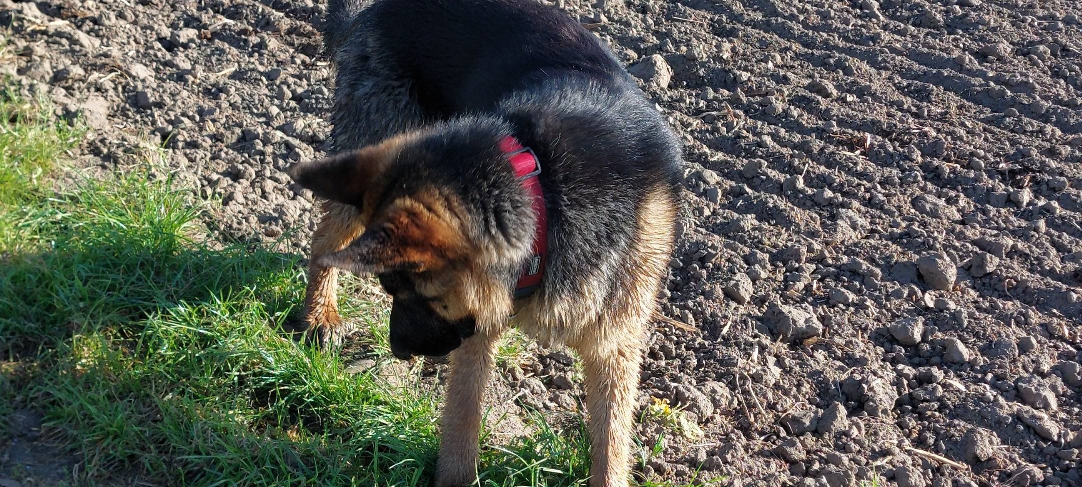 Aldenhövel (Lüdinghausen)