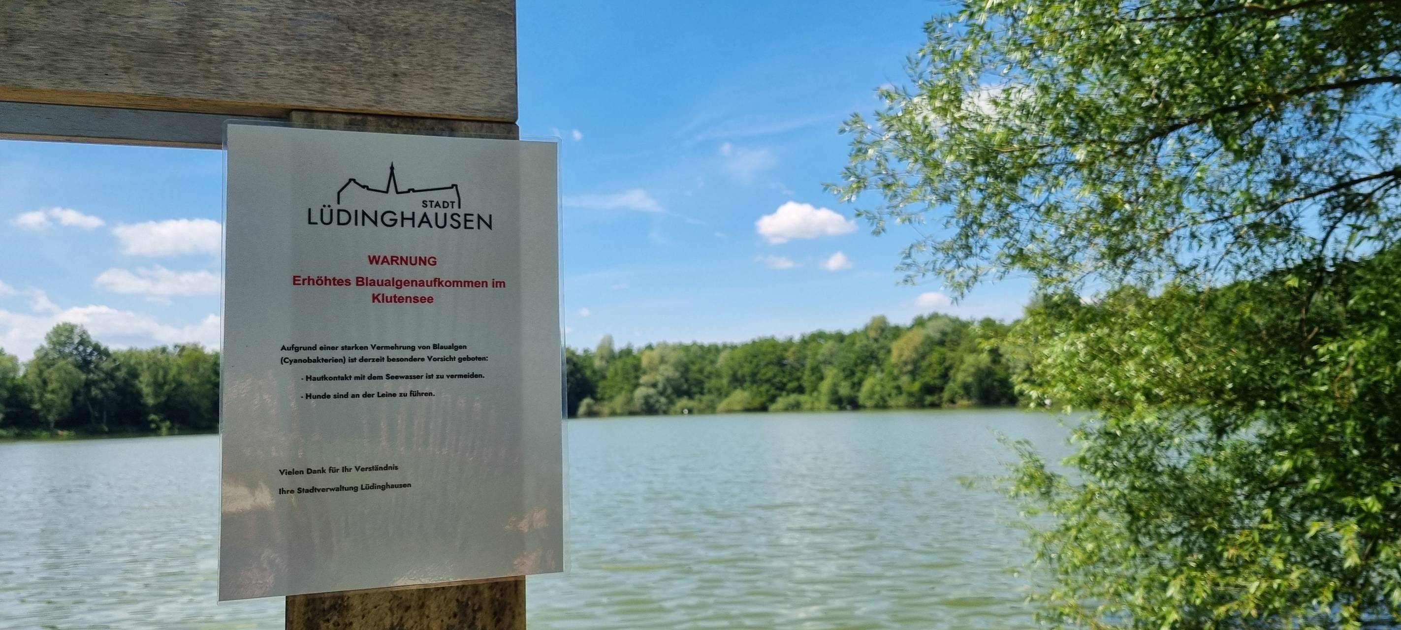 LÜDINGHAUSEN: Blaualgen auf dem Klutensee