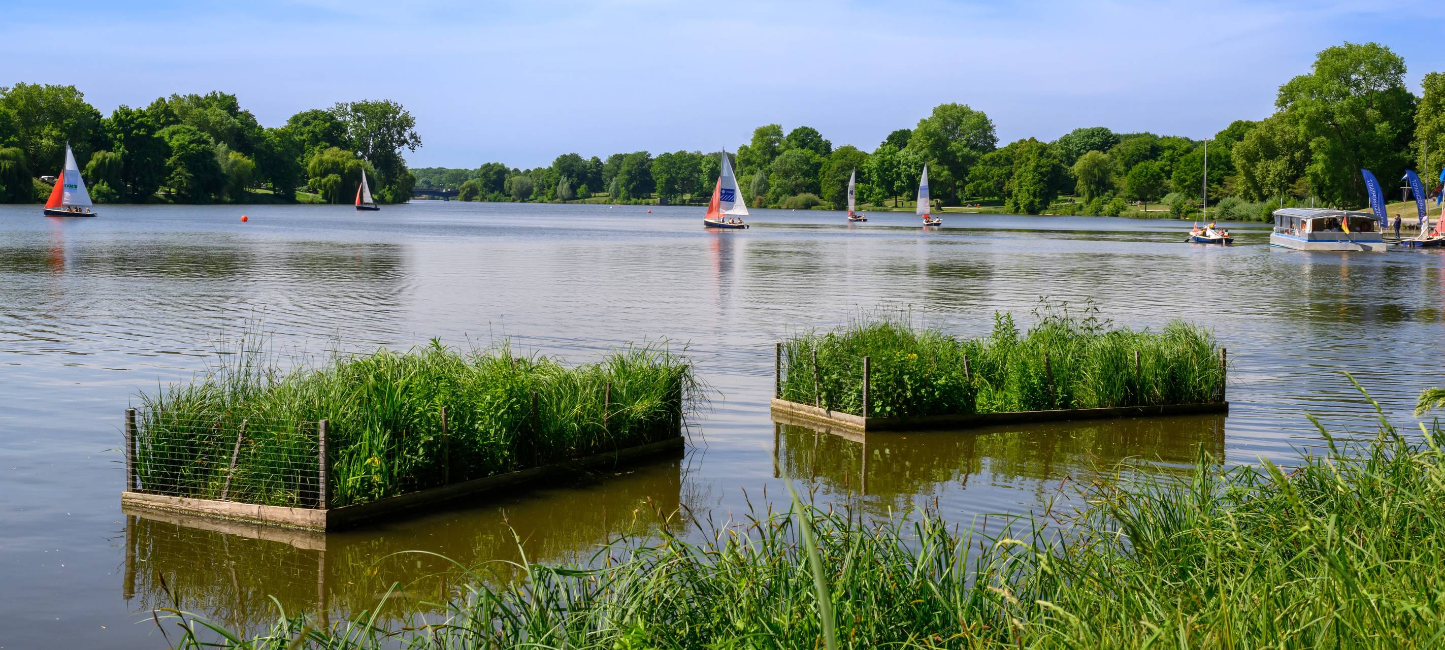 MÜNSTER: Aasee mit guter Wasserqualität