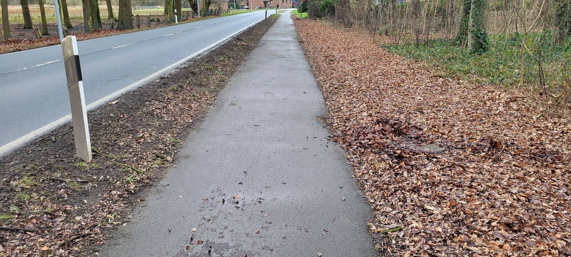 HAUSDÜLMEN: Umwege durch Radweg-Sanierung
