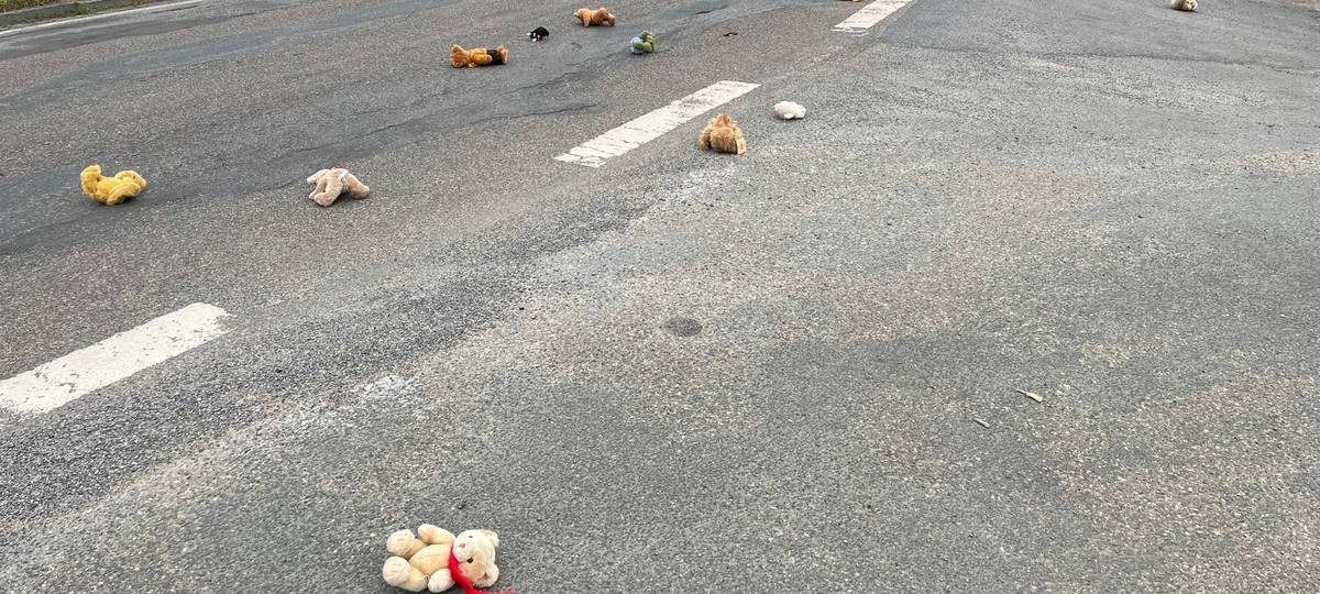 OLFEN: Kuscheltiere auf Straße