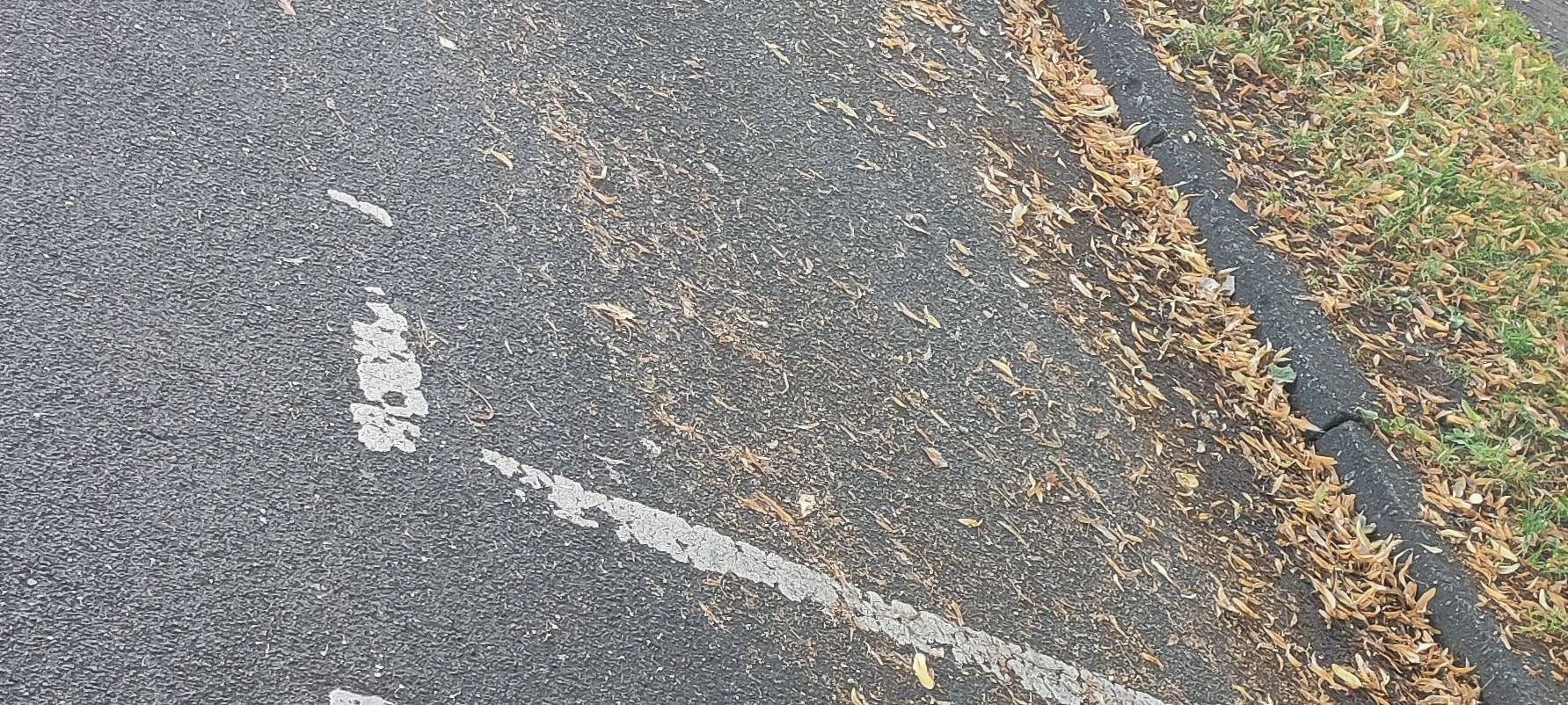 COESFELD: Parkplätze gesperrt
