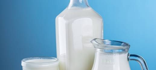 Weltmilchtag: Milchlandwirte weiter gefährdet