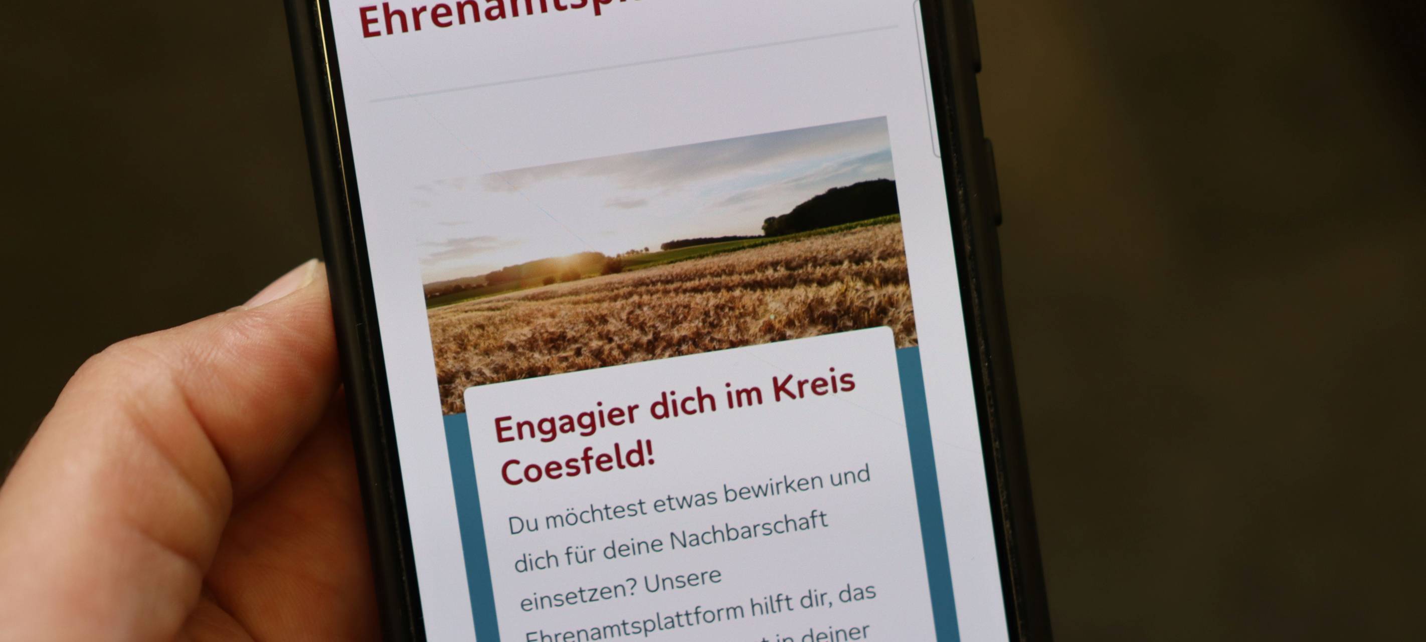 KREIS: Bilanz der Ehrenamtsplattform
