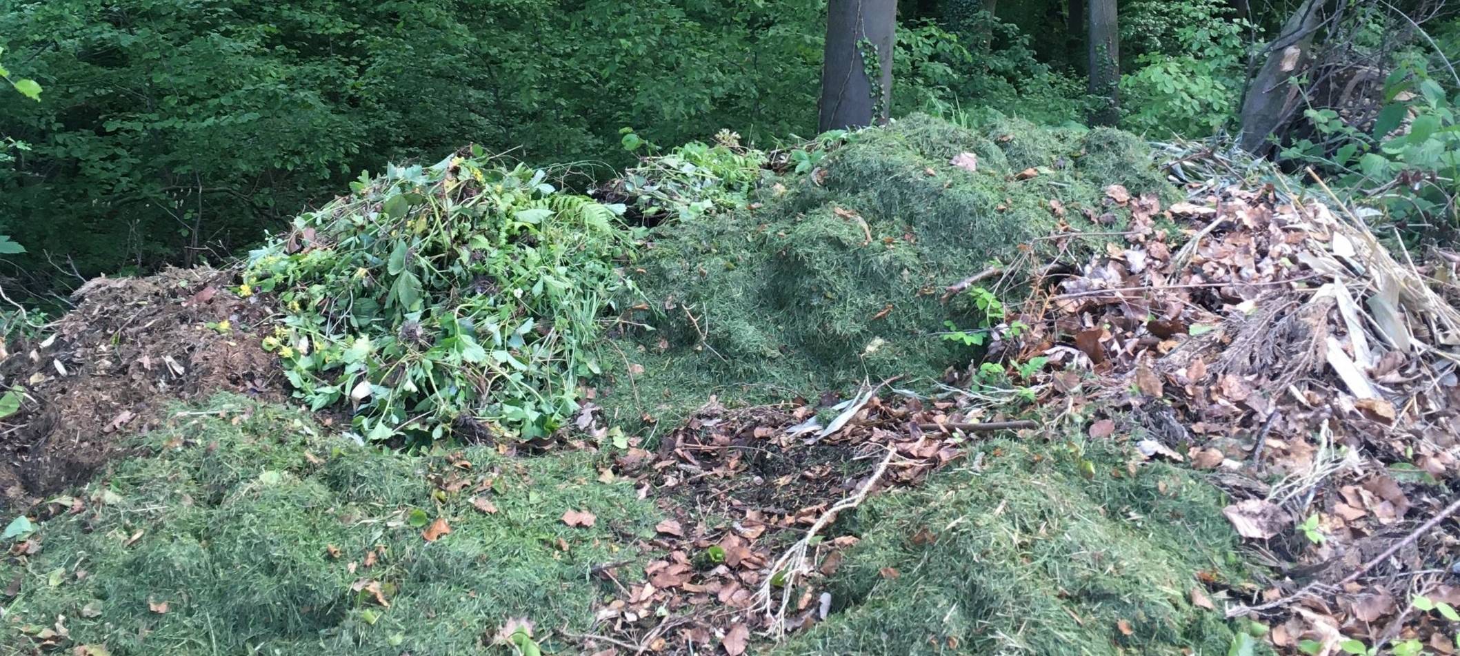 KREIS: Gartenabfälle nicht im Wald entsorgen!