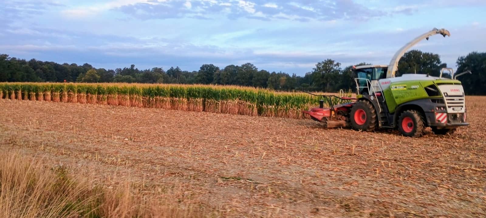 KREIS: Landwirte hoffen auf Entlastung