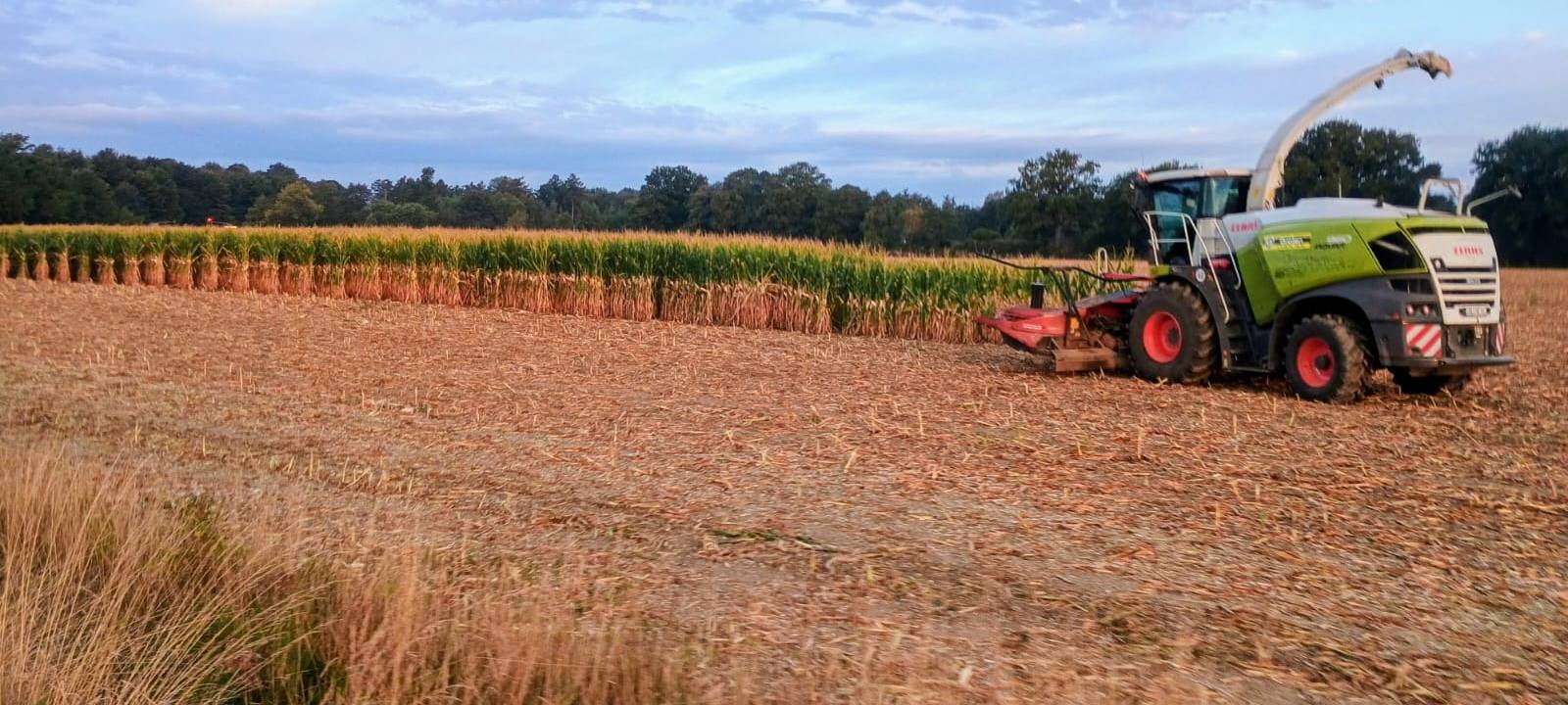 KREIS COESFELD: Grüne-Woche-Bilanz fällt positiv aus
