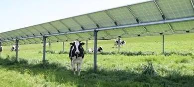 OTTMARSBOCHOLT: Spatenstich für Agri-PV-Anlage auf Biohof