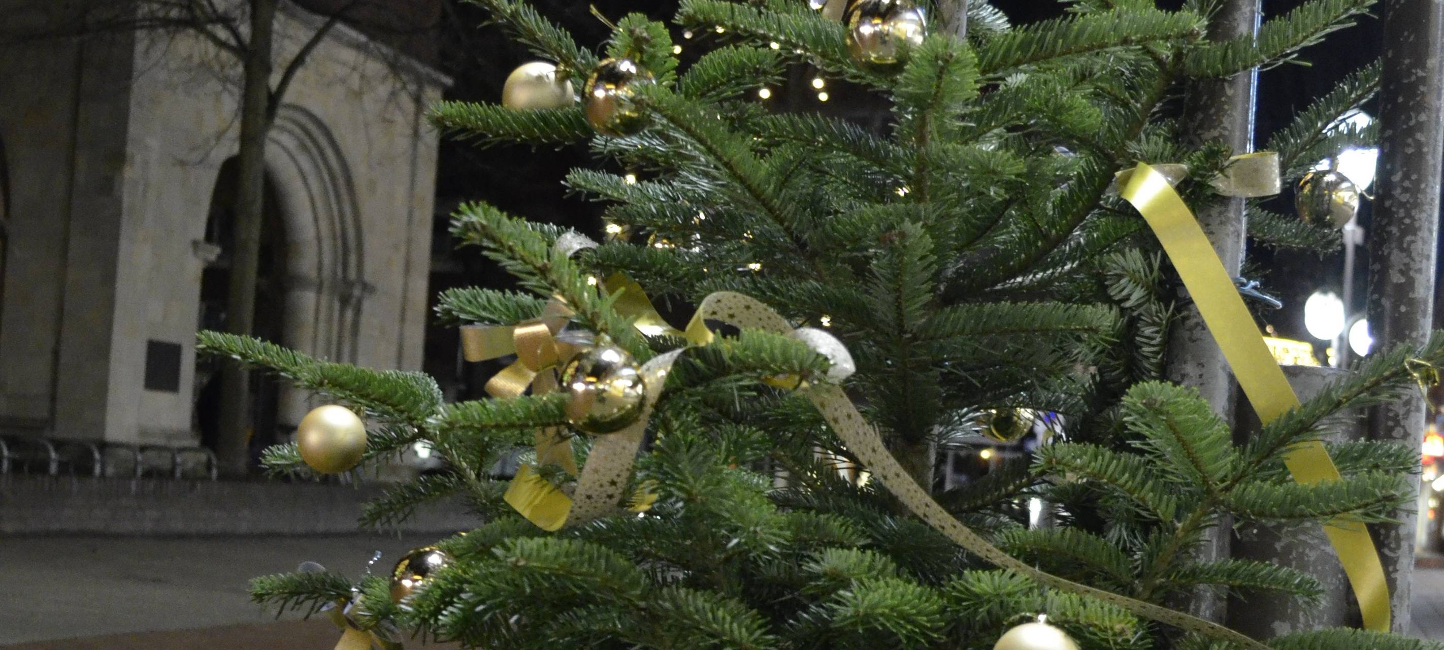 COESFELD: Wer schmückt Weihnachtsbäume?