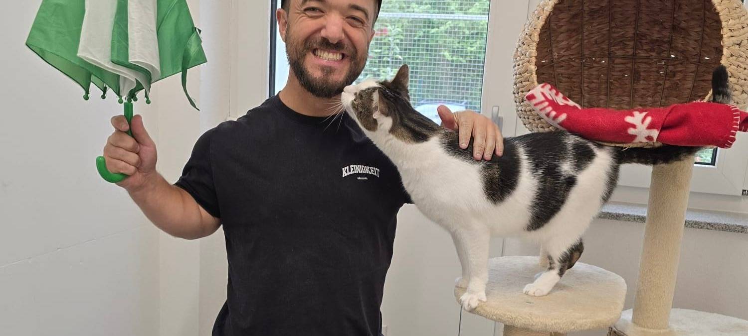 FLAMSCHEN: Katzenseuche weg?!