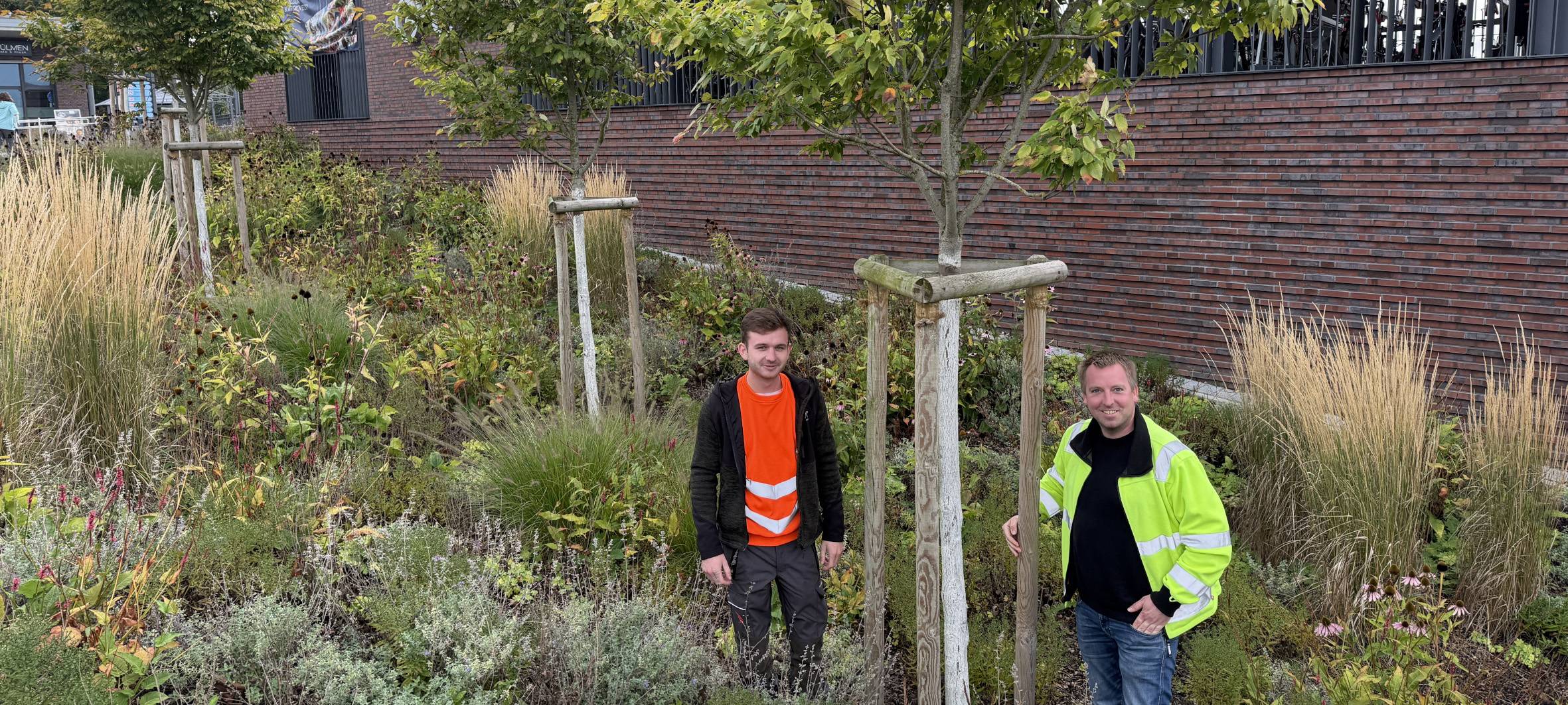 DÜLMEN: Zufrieden mit neuen Bäumen