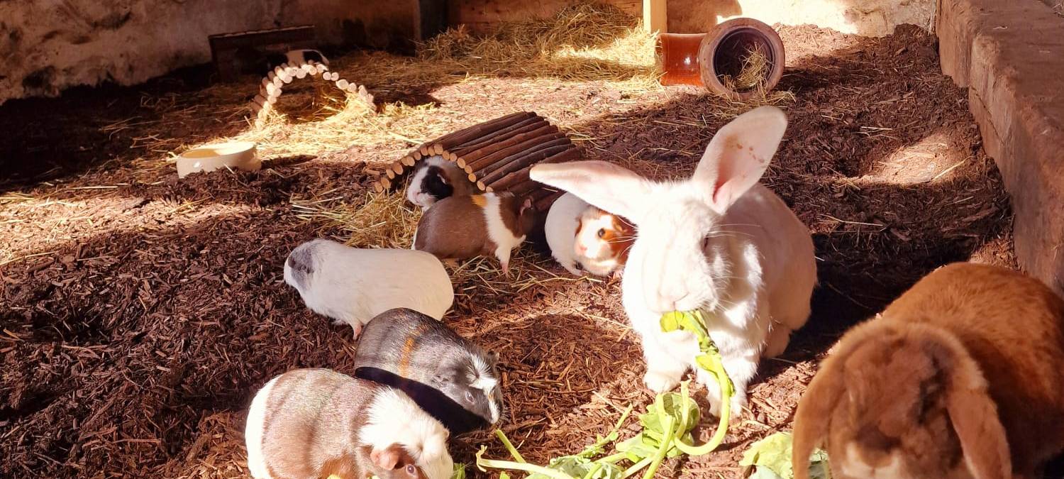 DARUP: 45.000 Euro Preisgeld fürs Kinderhospiz