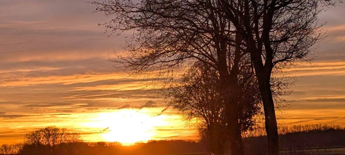 Tolle Fotos vom Morgenhimmel