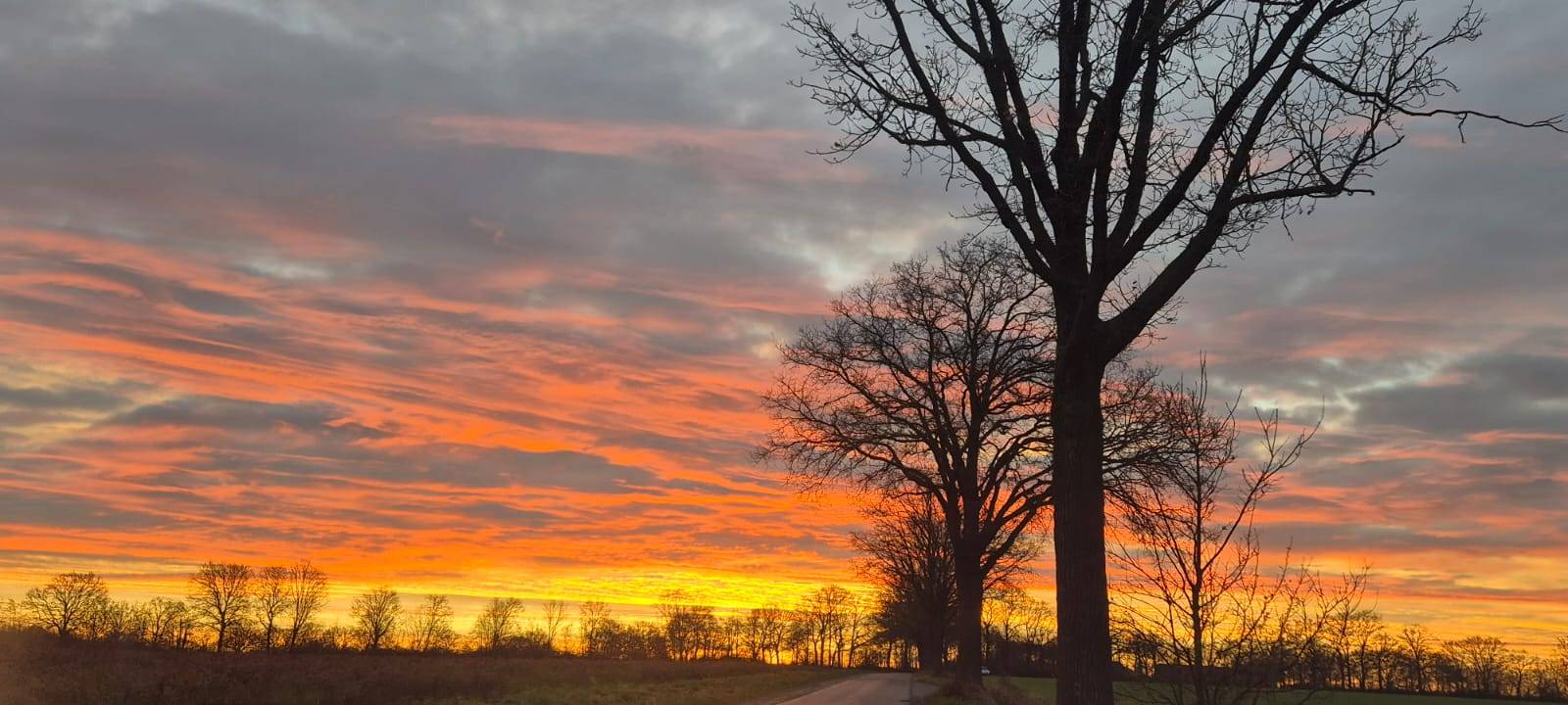 Tolle Fotos vom Morgenhimmel