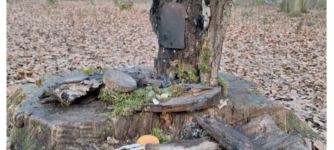 LÜDINGHAUSEN: Wichtelwald zerstört
