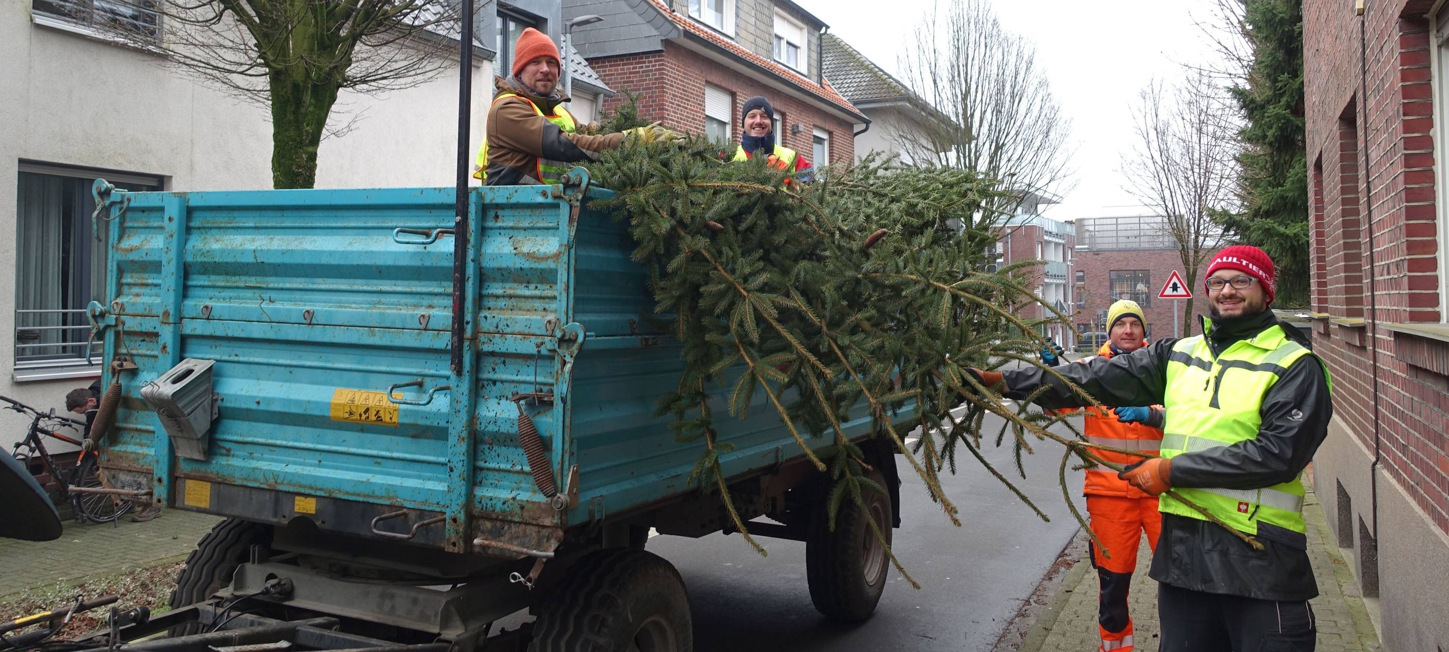 DÜLMEN: Weihnachtsbaumabholung am Wochenende