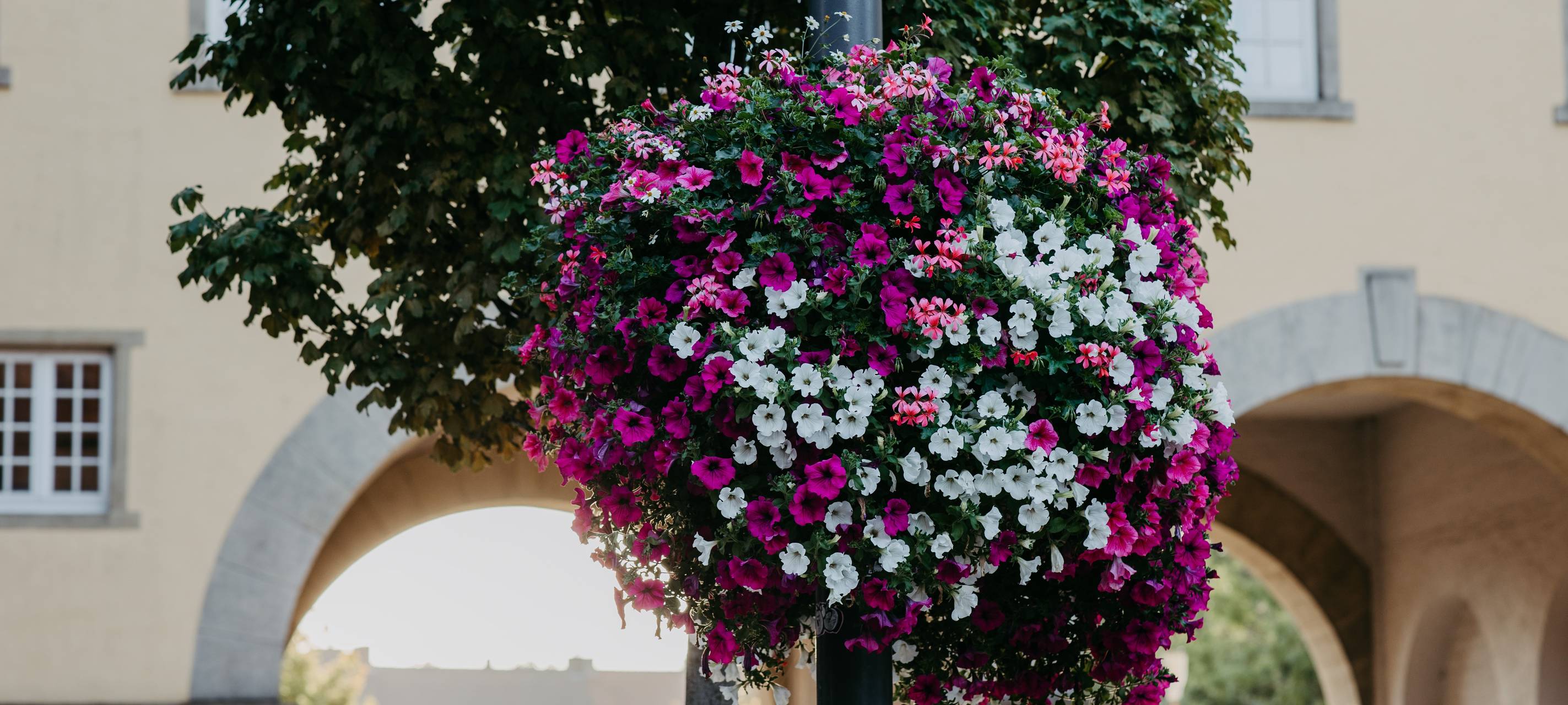 COESFELD: Spenden für Blumen