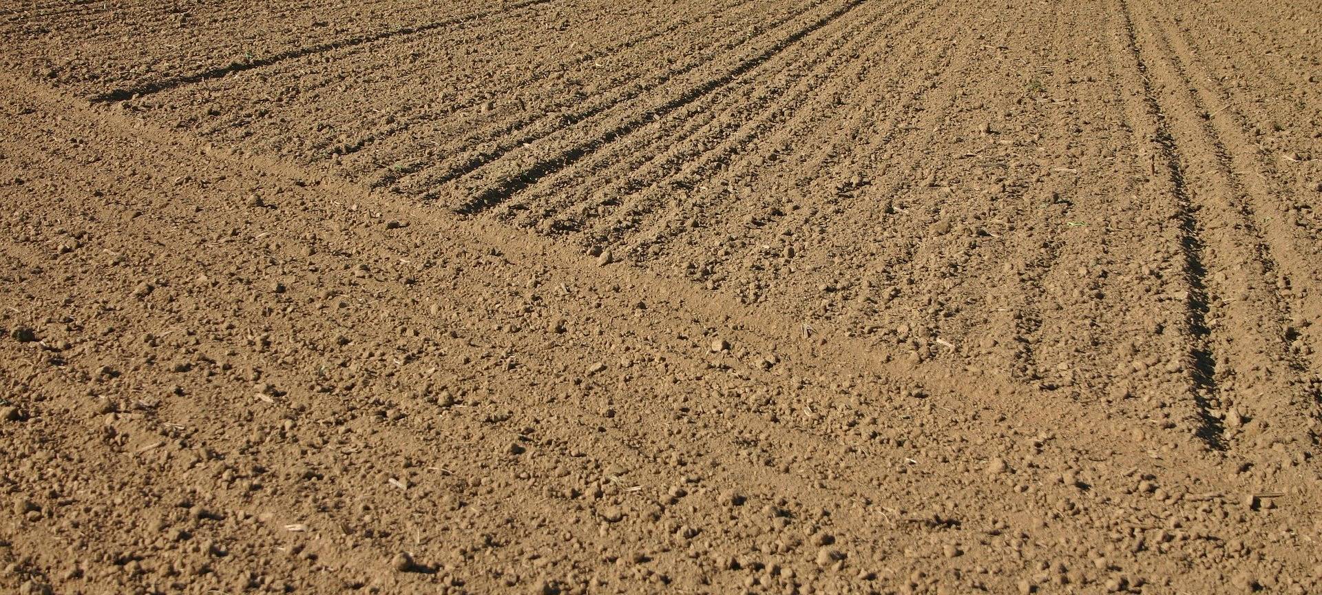 KREIS: Durchweichte Äcker durch Tauwetter