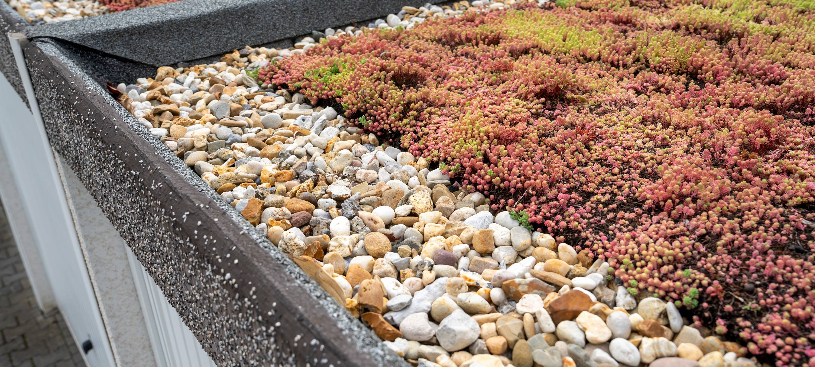 KREIS: Zuschüsse für Dachbegrünung