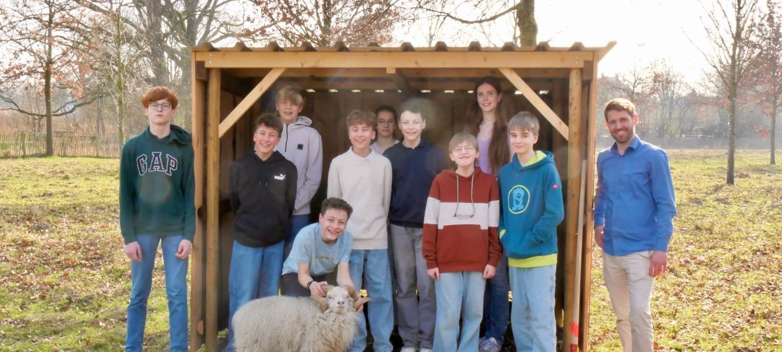 LÜDINGHAUSEN: Schaf-AG baut Unterstand