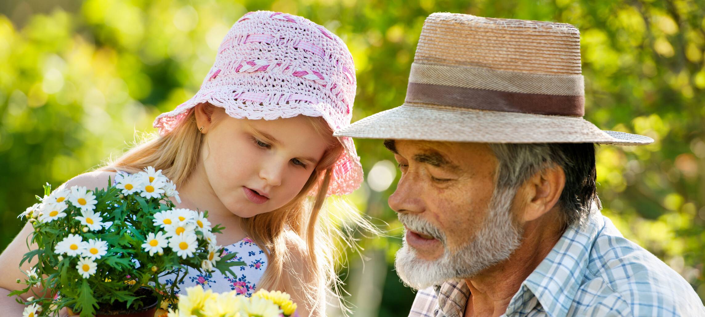 KREIS: Aktion gegen Schottergärten