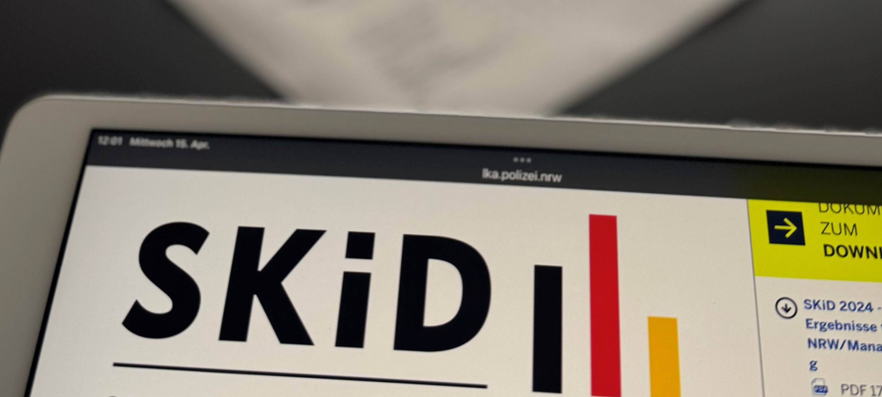 KREIS: Dunkelfeldstudie