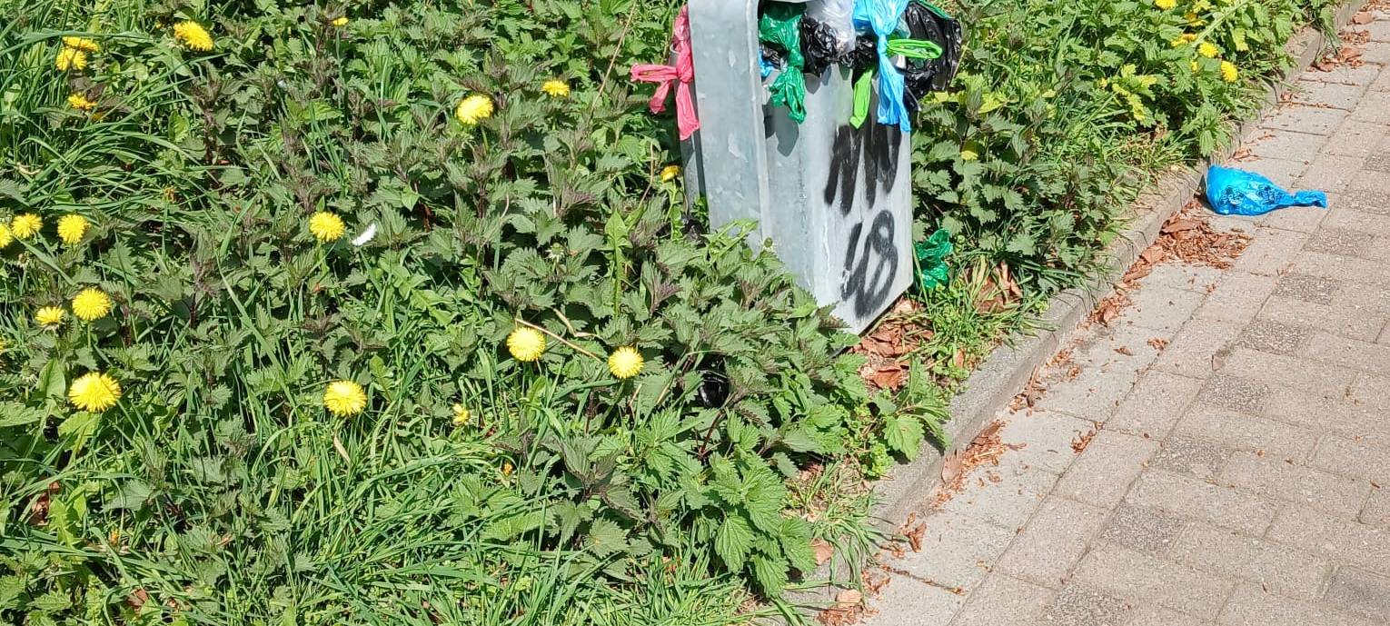 COESFELD: Überquellende Abfalleimer