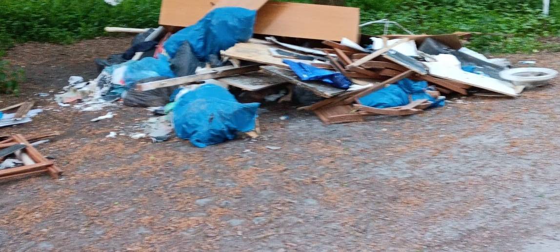 HALTERN: Wilde Müllkippe